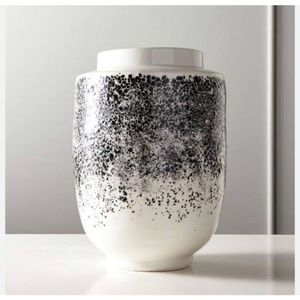 CB2 Miriam Black and White Speckled Ceramic Vase